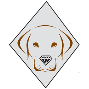 Diamond in the Ruff Dog Training