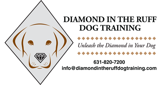 Diamond in the Ruff Dog Training