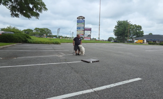 Dog demonstrating trained obedience skills during a graduation video