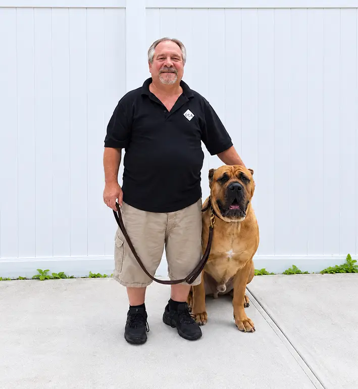 Dog trainer walking with a dog during a training session